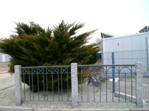 Aluzaun